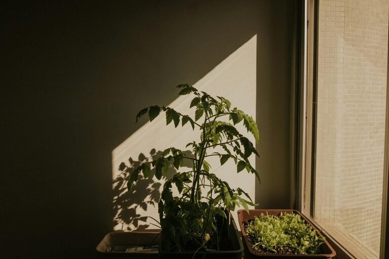 resized_152032