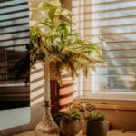 Creating a Cozy Home Office: Tips for a Productive Workspace